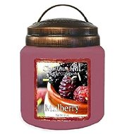 CHESTNUT HILL Moruše, střední 453 g - Svíčka