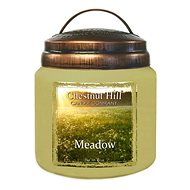 CHESTNUT HILL Rozkvetlá louka, střední 390 g - Svíčka