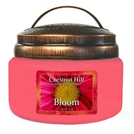 CHESTNUT HILL Květ, malá 284 g - Svíčka