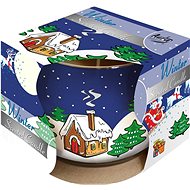 BISPOL winter 100 g - Candle