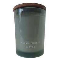 DW Home Aspen Forest 420 g - Candle