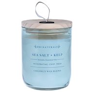 DW Home Tengeri só és Tengeri moszat - Sea Salt & Kelp 520 g - Gyertya