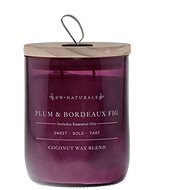 DW Home Plum & Bordeaux Fig 520 g - Candle