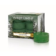 YANKEE CANDLE Evergreen Mist 12 × 9,8 g - Gyertya