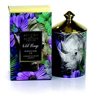 ASHLEIGH & BURWOOD WILD THINGS - VIOLET & IRIS, 320 g, RHINO SAW US - Candle