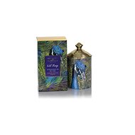 ASHLEIGH & BURWOOD WILD THINGS - CHRISTMAS SPICE 320 ml, ATTENTION TO THE TAIL - Candle