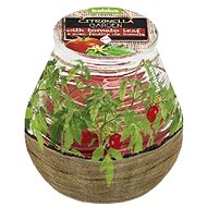 BOLSIUS Citronella Patiolight Tomato 94 × 91 mm - Svíčka