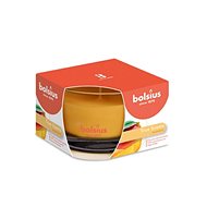 BOLSIUS True Scents Mango 63 × 90 mm - Svíčka