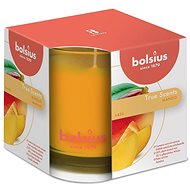 BOLSIUS True Scents Mango 95 × 95 mm - Candle