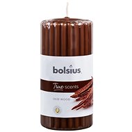 BOLSIUS True Scents Oud Wood 120 × 58 mm - Svíčka
