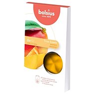 BOLSIUS True Scents scented waxes Mango 6 pcs - Aroma Wax