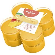 BOLSIUS Maxi True Scents Mango 8 ks - Sada svíček