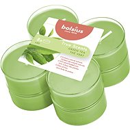 BOLSIUS Maxi True Scents Green Tea 8 ks - Sada svíček