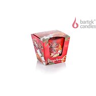 BARTEK CANDLES Orange Anise Note 115 g - Candle