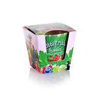 BARTEK CANDLES Berries 115 g - Candle