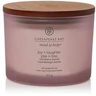 CHESAPEAKE BAY 3 knoty Joy & Laughter 312 g - Candle