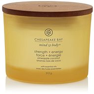 CHESAPEAKE BAY 3 wicks Strength & Energy 312 g - Candle