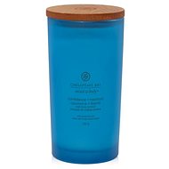 CHESAPEAKE BAY Confidence & Freedom 355 g - Candle