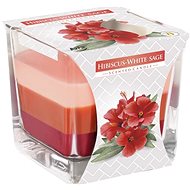 BISPOL Hibiscus White Sage 170 g - Candle