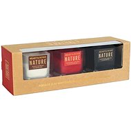 HEART & HOME Set of 3 mini candles Nature (vanilla, apple, cedar) 3×45 g - Candle