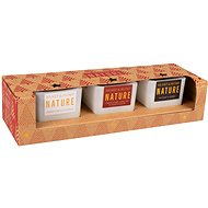 HEART & HOME Set of 3 mini candles Nature (winter walk, apple, fireplace) 3×45 g - Candle