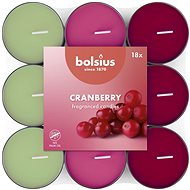 BOLSIUS Cranberry 260 g, 18 pcs - Candle Set