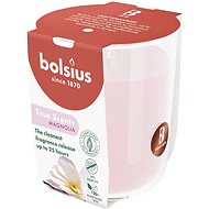 BOLSIUS Magnolias 25 h - Candle