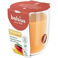 BOLSIUS Mango 25 h - Candle