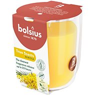 BOLSIUS Mimosa 25 h - Candle