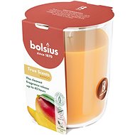 BOLSIUS Mango 45 h - Candle