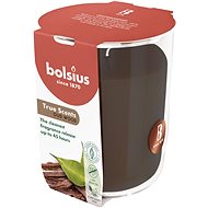 BOLSIUS Oud Wood 45 h - Candle
