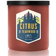 COLONIAL CANDLE Citrus Teakwood 425 g - Candle