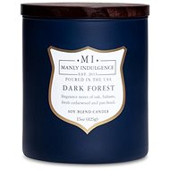 COLONIAL CANDLE Dark Forest 425 g - Candle