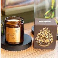 Harry Potter Hedwig 270 g - Candle