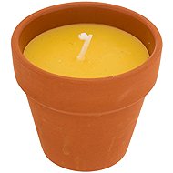 ATMOSPHERA Terry lemongrass 40 g - Candle