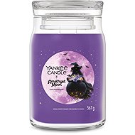 YANKEE CANDLE Signature Amethyst Moon 567g - Candle