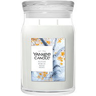 YANKEE CANDLE Signature Silver Birch 567g - Candle