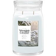 YANKEE CANDLE Signature Snow Kissed Pine 567g - Candle