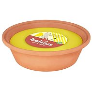 BOLSIUS True Citronella - Candle