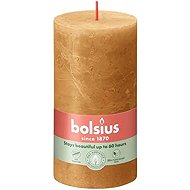 BOLSIUS Spice Brown 415 g - Candle