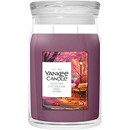 YANKEE CANDLE Autumn Daydream 567 g - Candle