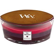WOODWICK Elipsa Sun Ripened Berries 453g - Candle
