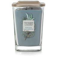 YANKEE CANDLE Coastal Cypress 552g - Candle