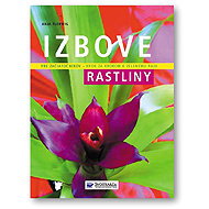 Izbové rastliny - 