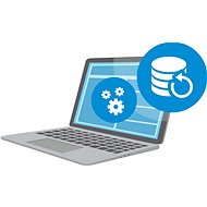 Consulting - Security and Backup (On Site) - Installation on Customer's Address