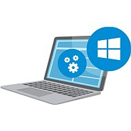 Remote Installation - 1 License Software (except Windows/Office) - Remote Installation