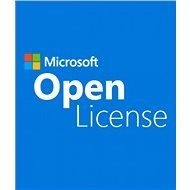 Microsoft Office Standard 2019 SNGL OLP (electronic licence) - Office Software