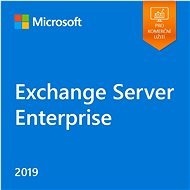Microsoft Exchange Server Enterprise 2019 (Electronic License) - Office Software