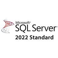 Microsoft SQL Server 2022 - 1 User CAL - Office Software