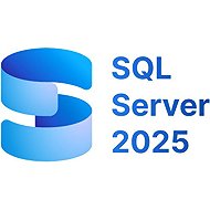 Microsoft SQL Server 2025 Standard edition Perpetual 1 Server License Nonprofit - Office Software
